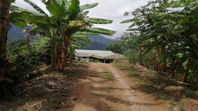 finca