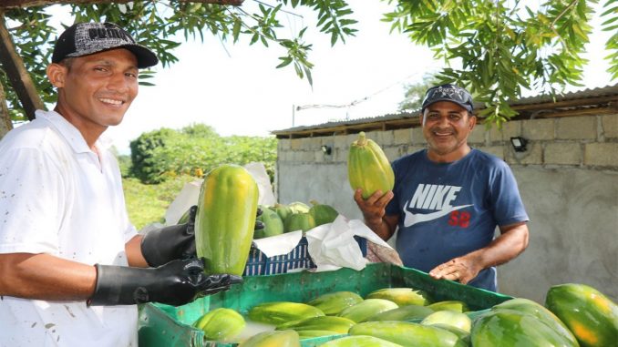 agricultura