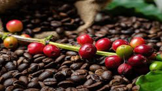 precio del cafe