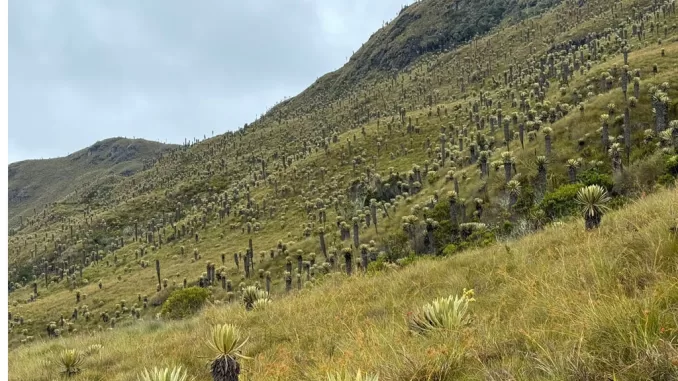 predios de conservación